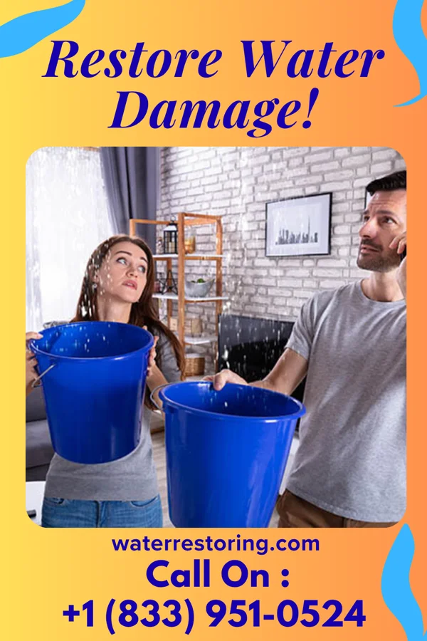 water restoration Drying Professionals Watkins