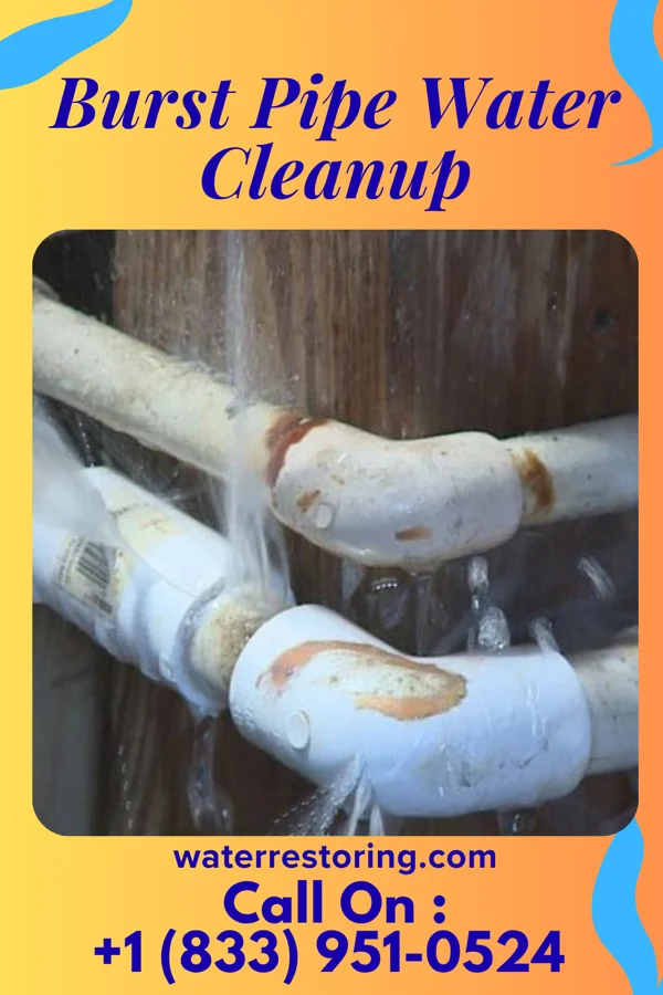 Burst Pipe Water Cleanup in Watkins, MN