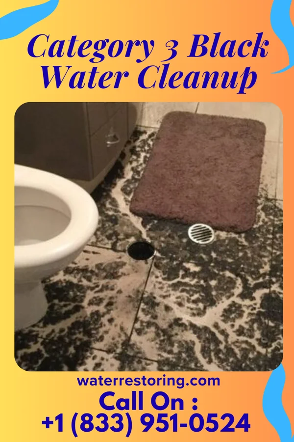 Category 3 Black Water Cleanup in Watkins, MN