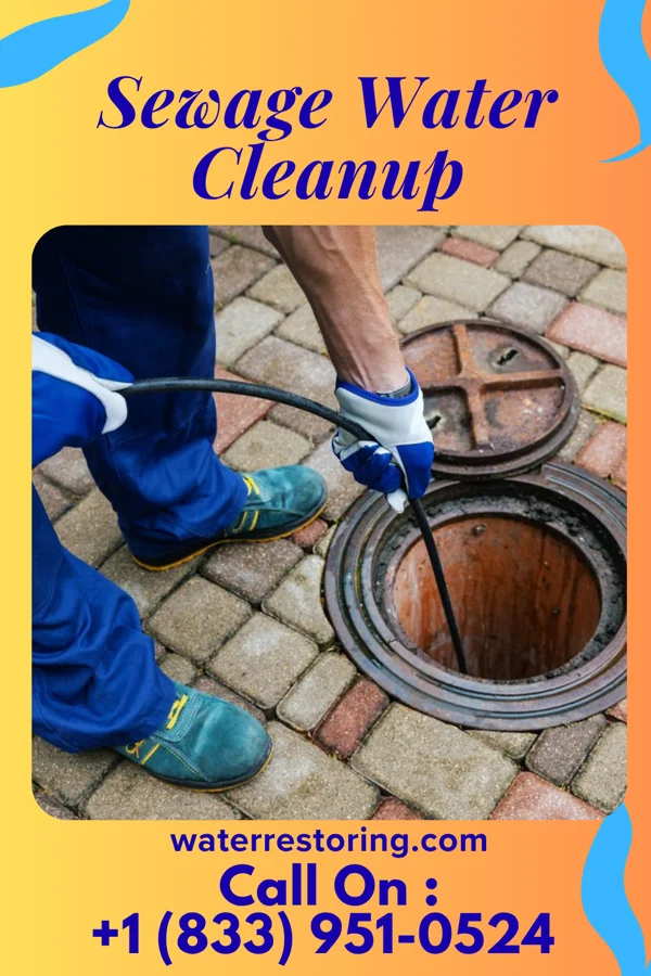 Sewage Water Cleanup in Watkins, MN