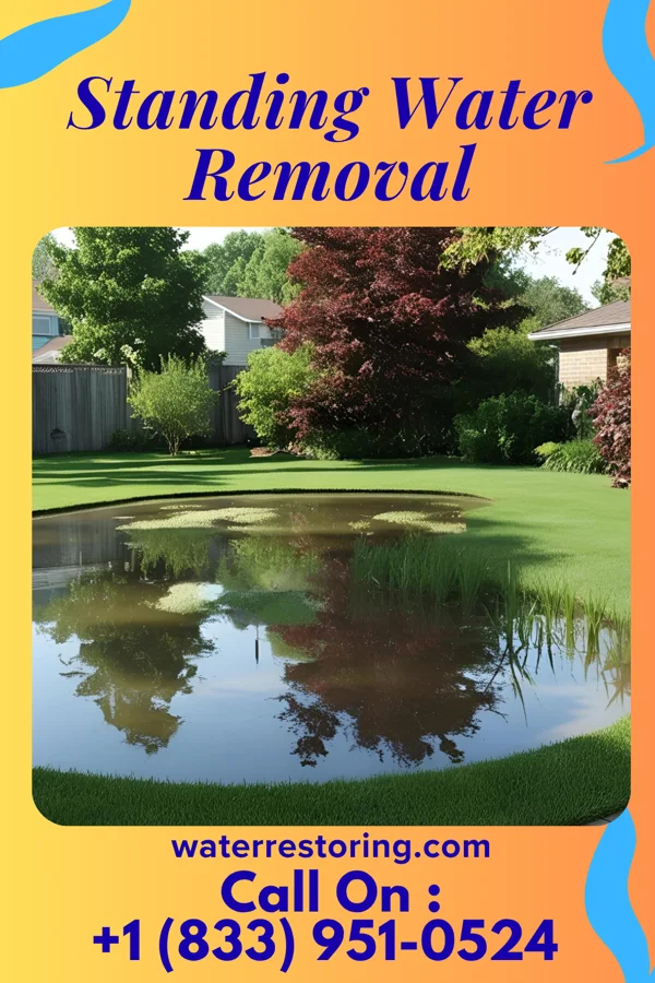 Standing Water Removal in Watkins, MN